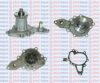 AQUAPLUS 85-5780 Water Pump